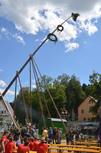 20150725-145648.JPG