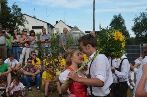 20150726-183332.JPG